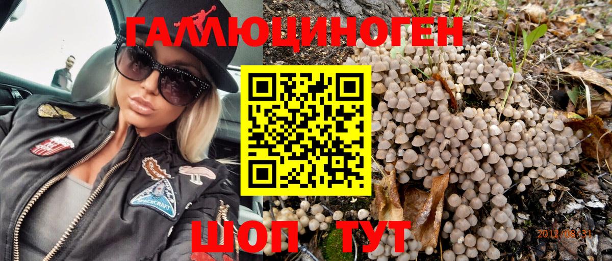 Псилоцибиновые грибы мицелий Клин