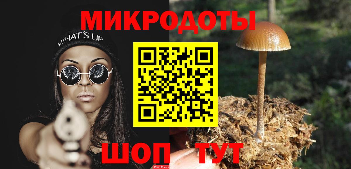 Клин  Галлюциногенные грибы Psilocybine cubensis  где можно купить наркотик  Вход с VPN 